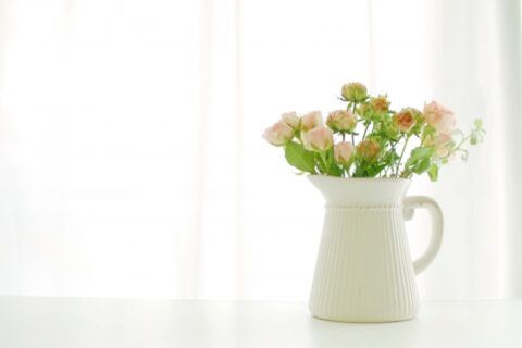 窓辺の白い花