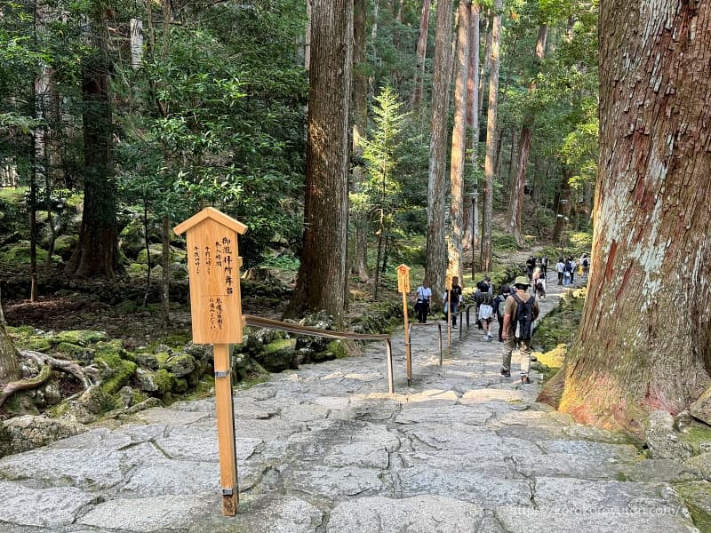 熊野古道82　那智の滝飛瀧神社階段a