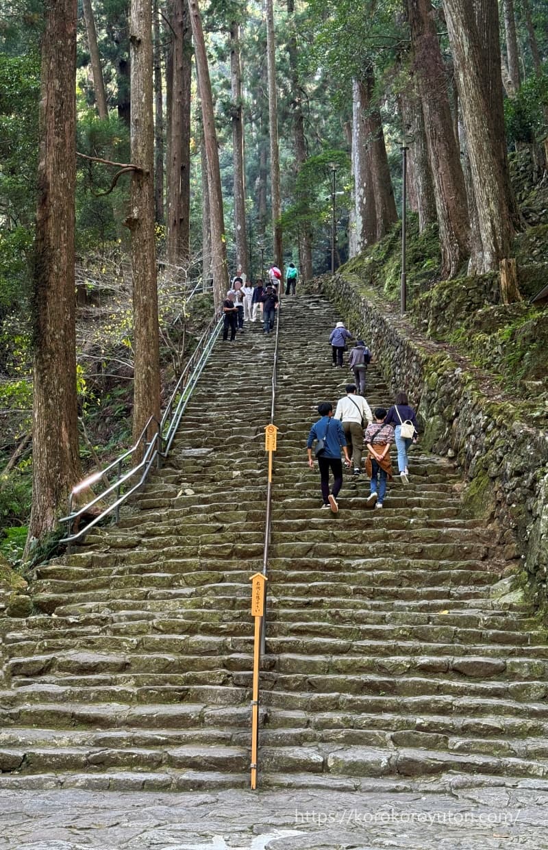 熊野古道88　那智の滝帰り階段a