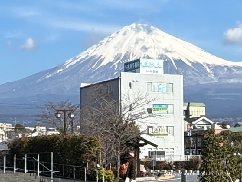 富士山世界遺産センター05　富士山と予備校a